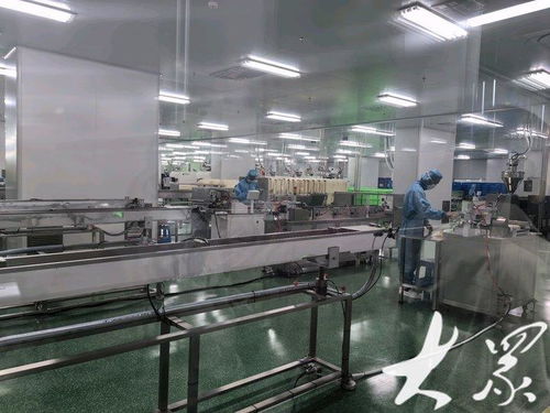 向 新 發(fā)力 從連年虧損到全國(guó)前三,這家淄博醫(yī)療器械企業(yè)12種產(chǎn)品填補(bǔ)國(guó)內(nèi)空白